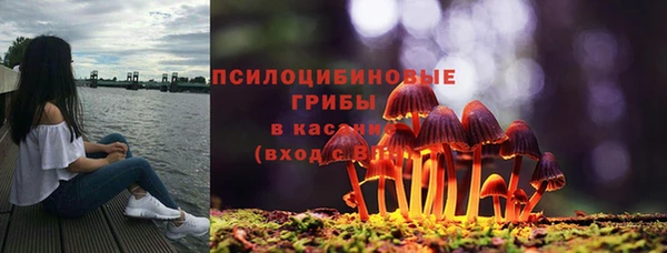 стафф Верхний Тагил